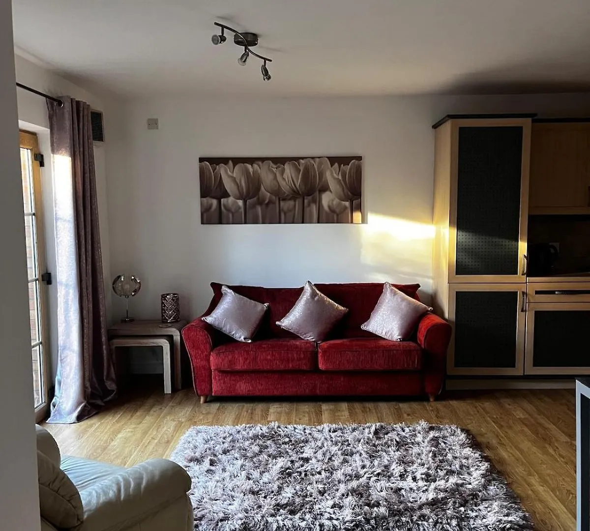 Forest Grove Apartment Belfast Verenigd Koninkrijk